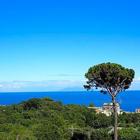 In Erbalunga